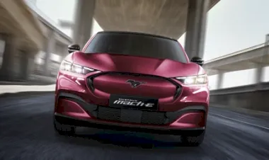 Phấn khích tột độ